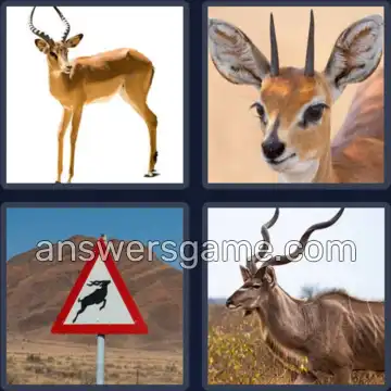 4 Images 1 Mot 8 lettres ANTILOPE