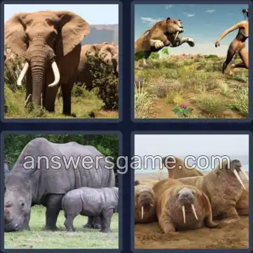 4 Images 1 Mot 8 lettres DEFENSES