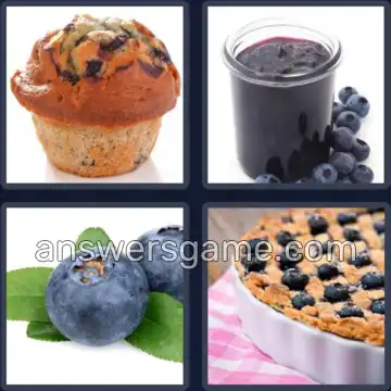 4 Images 1 Mot 8 lettres MYRTILLE