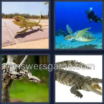 4 Images 1 Mot 8 lettres REPTILES