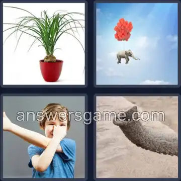 4 Images 1 Mot 8 lettres ELEPHANT