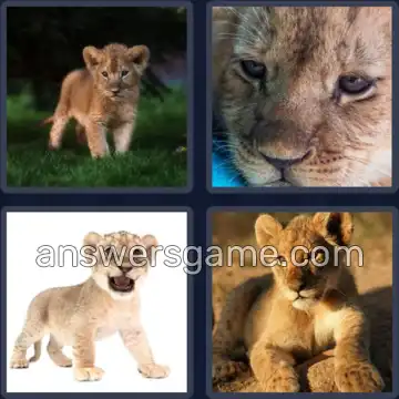 4 Images 1 Mot 8 lettres LIONCEAU