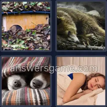4 Images 1 Mot 8 lettres HIBERNER