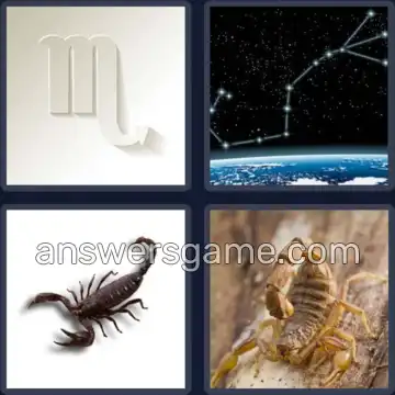 4 Images 1 Mot 8 lettres SCORPION