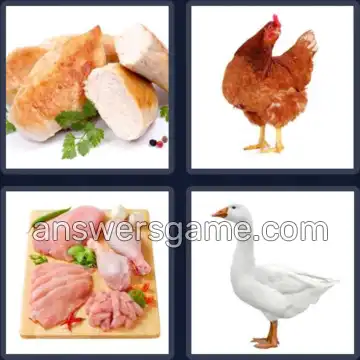 4 Images 1 Mot 8 lettres VOLAILLE