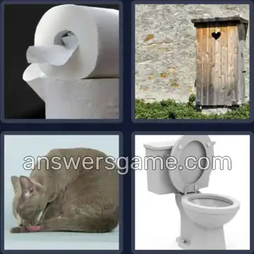 4 Images 1 Mot 8 lettres TOILETTE