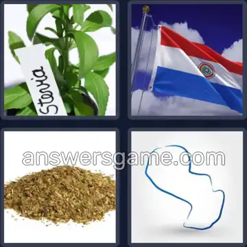 4 Images 1 Mot 8 lettres PARAGUAY