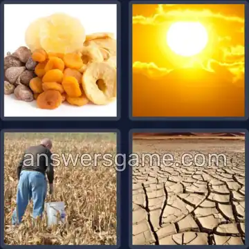 4 Images 1 Mot 8 lettres DESSECHE