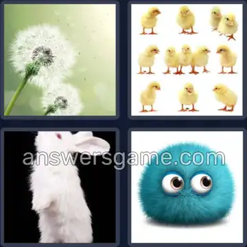 4 Images 1 Mot 8 lettres DUVETEUX