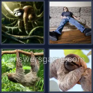 4 Images 1 Mot 9 lettres PARESSEUX