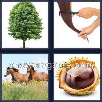 4 Images 1 Mot 9 lettres CHATAIGNE