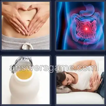 4 Images 1 Mot 9 lettres DIGESTION