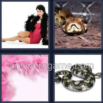 4 Immagini 1 Parola 3 lettere BOA