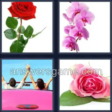 4 Immagini 1 Parola 4 lettere ROSA