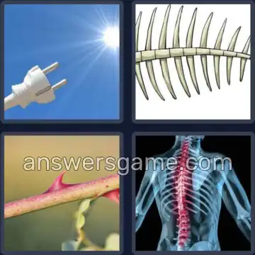 4 Immagini 1 Parola 5 lettere SPINA