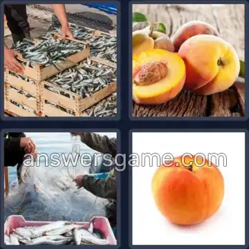 4 Immagini 1 Parola 5 lettere PESCA