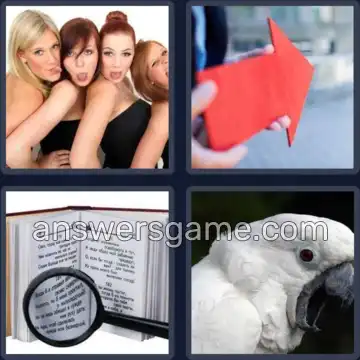 4 Immagini 1 Parola 5 lettere VERSO