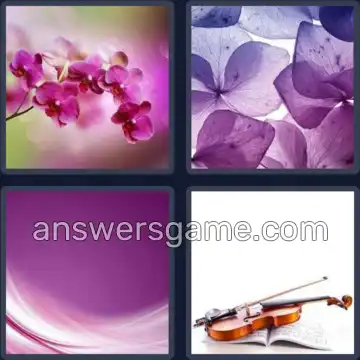 4 Immagini 1 Parola 5 lettere VIOLA