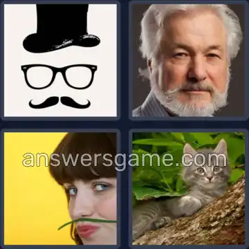 4 Immagini 1 Parola 5 lettere BAFFI