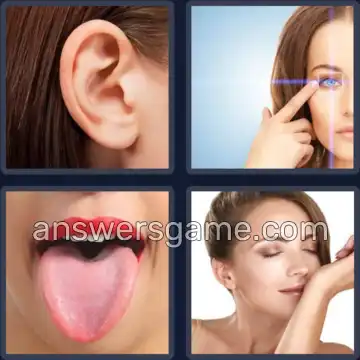 4 Immagini 1 Parola 5 lettere SENSI