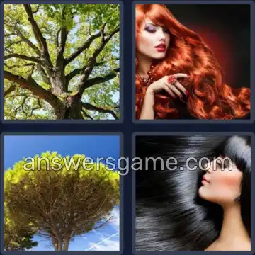 4 Immagini 1 Parola 6 lettere CHIOMA