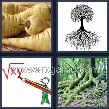 4 Immagini 1 Parola 6 lettere RADICE