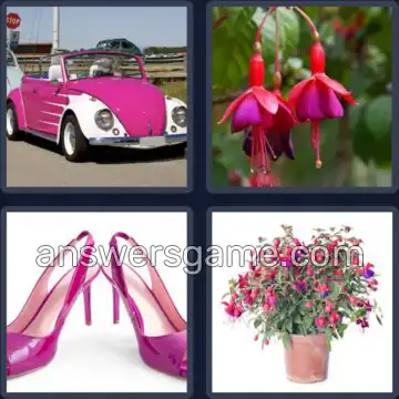 4 Immagini 1 Parola 6 lettere FUCSIA
