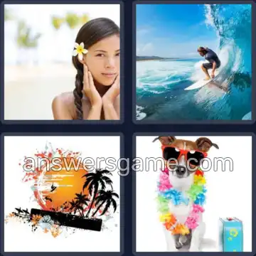 4 Immagini 1 Parola 6 lettere HAWAII