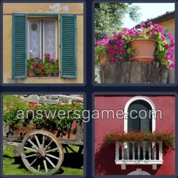 4 Immagini 1 Parola 6 lettere GERANI