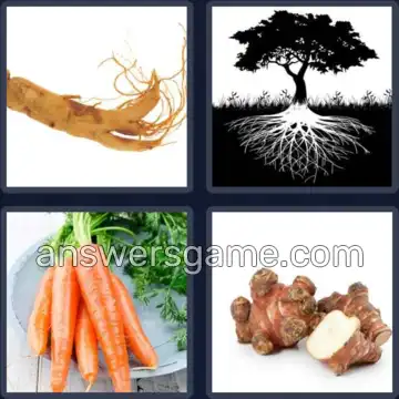 4 Immagini 1 Parola 6 lettere RADICI