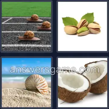 4 Immagini 1 Parola 6 lettere GUSCIO