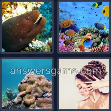 4 Immagini 1 Parola 7 lettere CORALLO