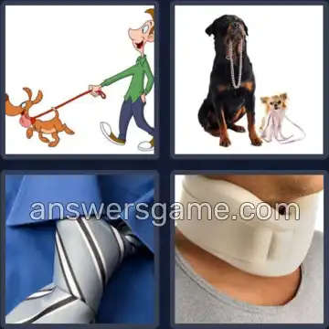 4 Immagini 1 Parola 7 lettere COLLARE