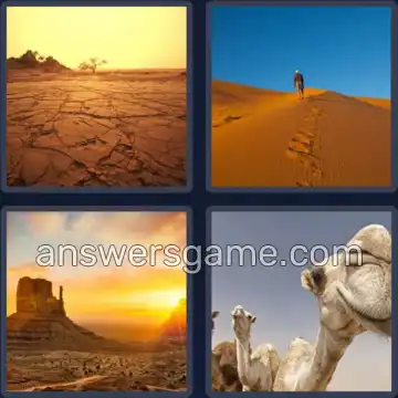 4 Immagini 1 Parola 7 lettere DESERTO