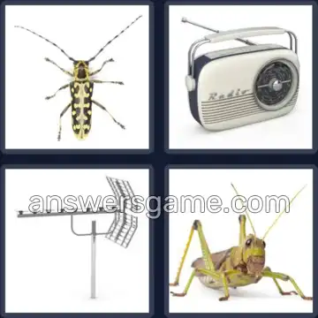 4 Immagini 1 Parola 7 lettere ANTENNA
