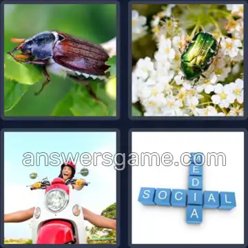 4 Immagini 1 Parola 8 lettere SCARABEO