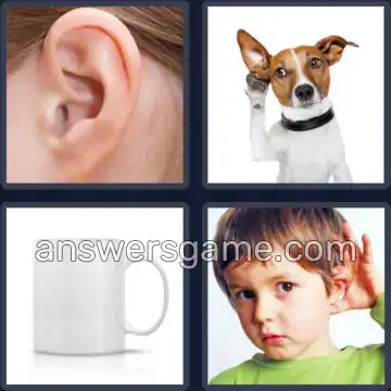 4 Plaatjes 1 Woord 3 letters OOR