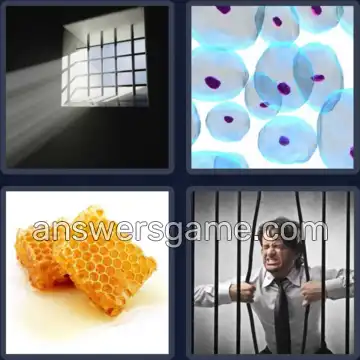 4 Plaatjes 1 Woord 3 letters CEL