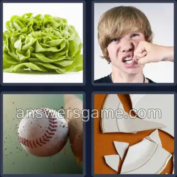 4 Plaatjes 1 Woord 3 letters SLA