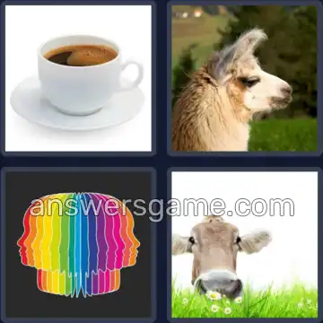 4 Plaatjes 1 Woord 3 letters KOP