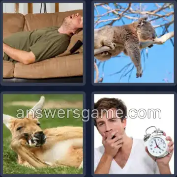 4 Plaatjes 1 Woord 3 letters LUI