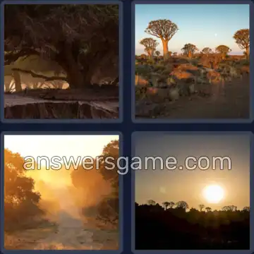 4 Plaatjes 1 Woord 3 letters BOS