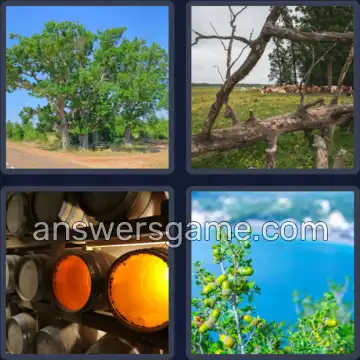 4 Plaatjes 1 Woord 3 letters EIK