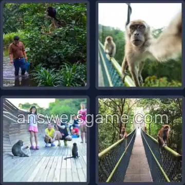 4 Plaatjes 1 Woord 3 letters AAP