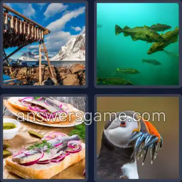 4 Plaatjes 1 Woord 3 letters VIS