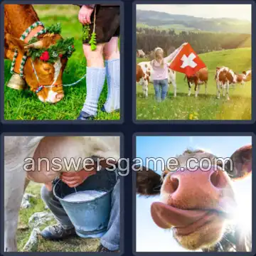 4 Plaatjes 1 Woord 3 letters KOE