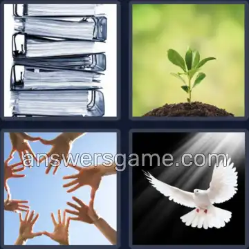 4 Plaatjes 1 Woord 4 letters HOOP