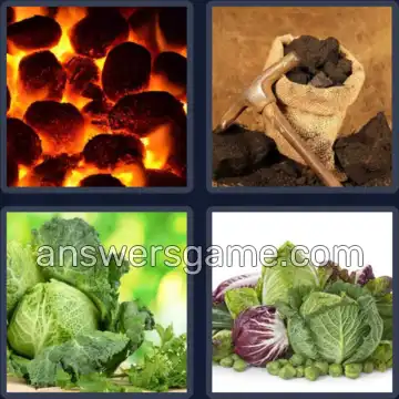 4 Plaatjes 1 Woord 4 letters KOOL