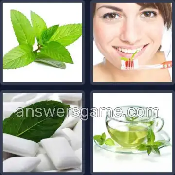 4 Plaatjes 1 Woord 4 letters MINT