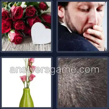 4 Plaatjes 1 Woord 4 letters ROOS